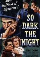 So Dark the Night poster image