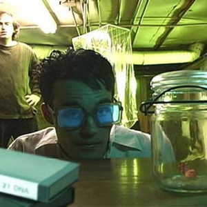 Red Cockroaches - Rotten Tomatoes