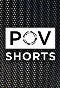 Pov Shorts Rotten Tomatoes