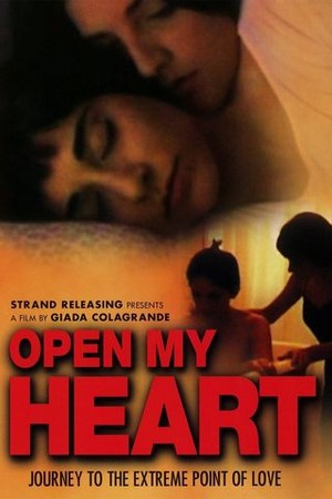 Open My Heart poster