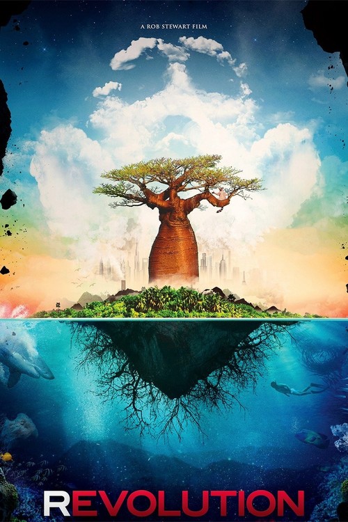Revolution poster