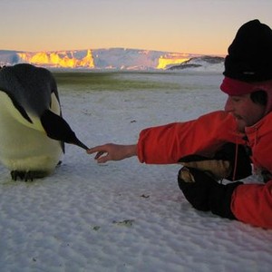 March of the Penguins photo 2