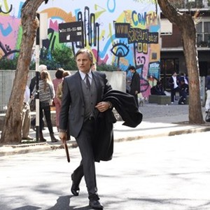 "Everybody Has a Plan photo 15"