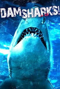 Dam Sharks! - Rotten Tomatoes