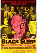 The Black Sleep poster image