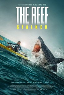 Poster for The Reef: Stalked