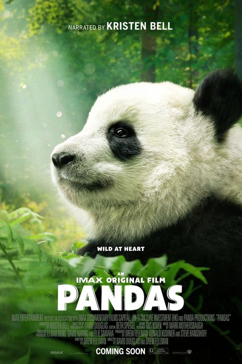 Pandas poster