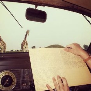The Woman Who Loves Giraffes photo 5
