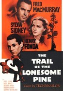 The Trail of the Lonesome Pine poster image