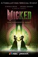 Wicked: One Wonderful Night
