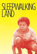 Sleepwalking Land poster image