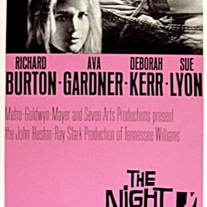 NIGHT OF THE IGUANA, Sue Lyon, Richard Burton, Ava Gardner, Deborah Kerr, 1964