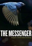 The Messenger poster image