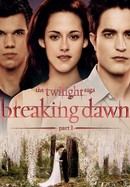 The Twilight Saga: Breaking Dawn Part 1 poster image