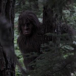 Valley Of The Sasquatch - Rotten Tomatoes