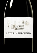 A Year in Burgundy poster image