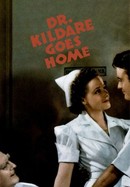 Dr. Kildare Goes Home poster image
