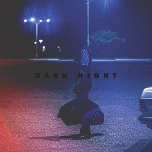 Dark Night photo 18
