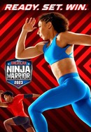 American Ninja Warrior poster image
