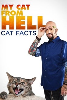 My cat from hell season 2 shop episode 1