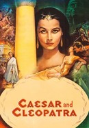 Caesar and Cleopatra poster image