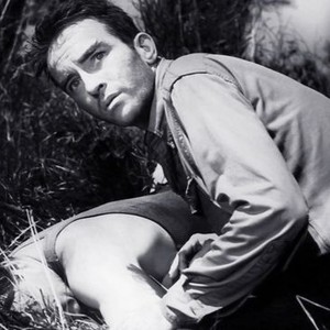 The Young Lions (1958)