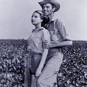 The Southerner (1945) photo 3