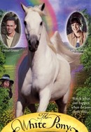 The White Pony poster image