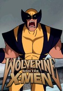 Wolverine and the X-Men poster image