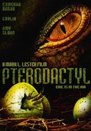 Pterodactyl poster image