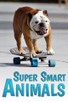 Poster for 