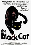 The Black Cat poster image
