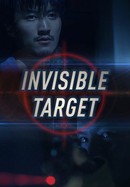 Invisible Target poster image