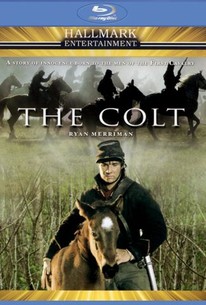 The Colt (2005) - Rotten Tomatoes