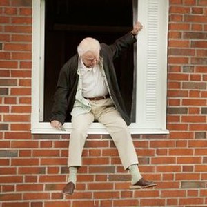 The 100-Year-Old Man Who Climbed Out the Window and Disappeared photo 19