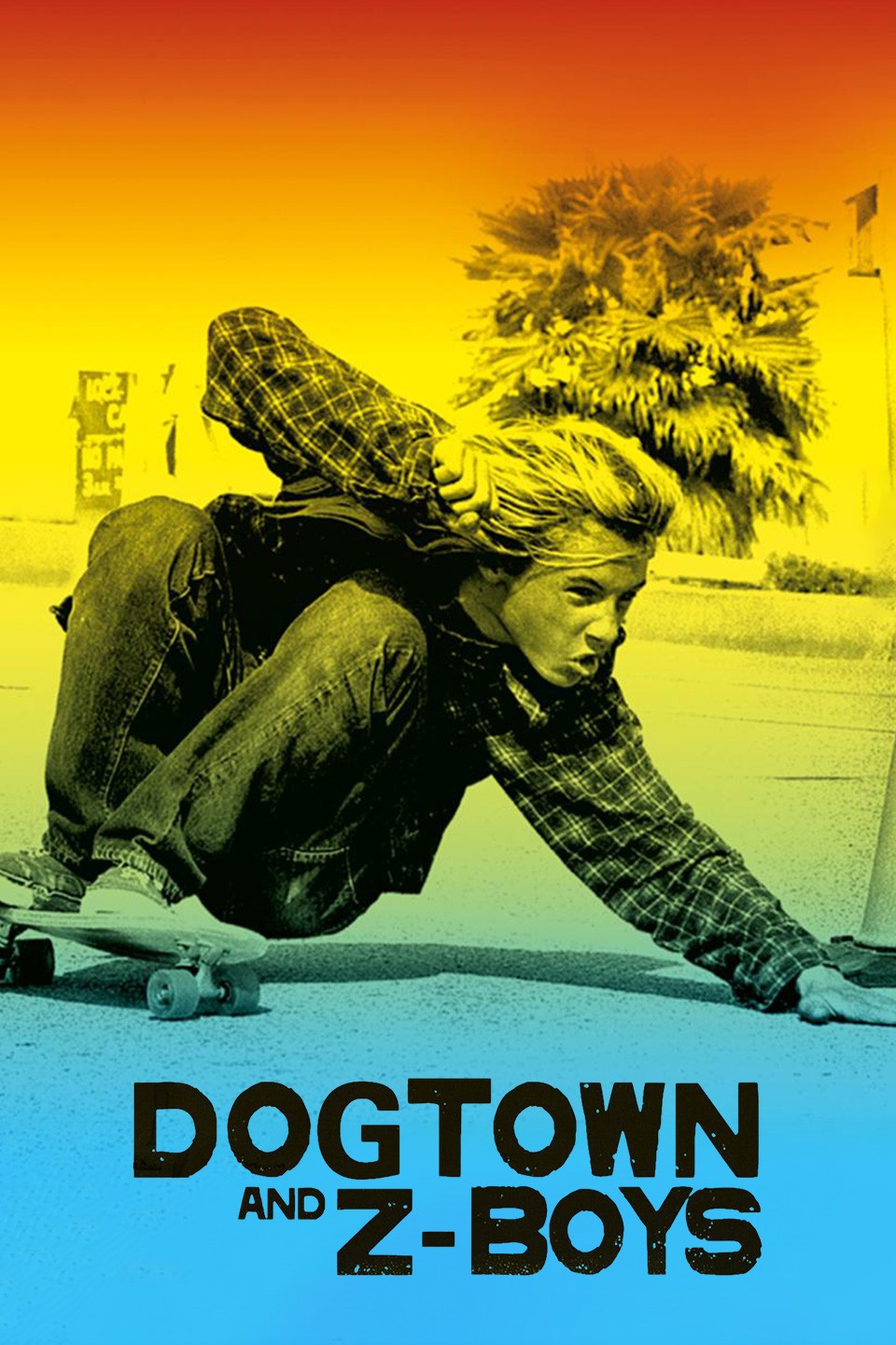 DOGTOWN & Z-BOYS ポスター ゼファー zephyr ポスター『Dogtown and Z-Boys』2001☆Zephyr/ゼファー/ドッグタウン