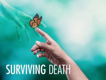 Butterfly season clearance 1 episode 3