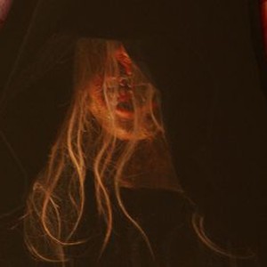 The Tooth Fairy photo 4