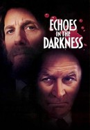 Echoes in the Darkness poster image