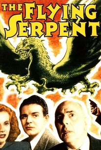 空飛ぶ翼蛇 / Flying Serpent