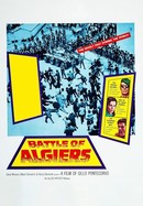 The Battle of Algiers poster image
