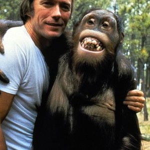 Every Which Way But Loose 1978 Rotten Tomatoes every which way but loose 1978