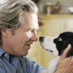 A dog year netflix discount