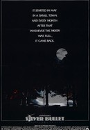 Silver Bullet poster image