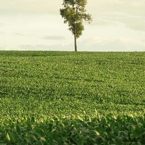 In Pursuit of Silence (2015)