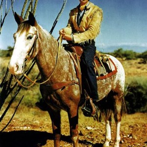 Gary Cooper - Rotten Tomatoes