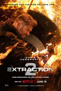 Extraction 2 poster
