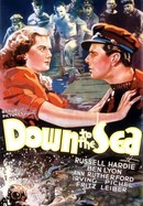 Down to the Sea poster image