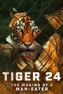 Bengal Tiger Movie Cast, Review, Wallpapers & Trailer