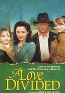 A Love Divided poster image